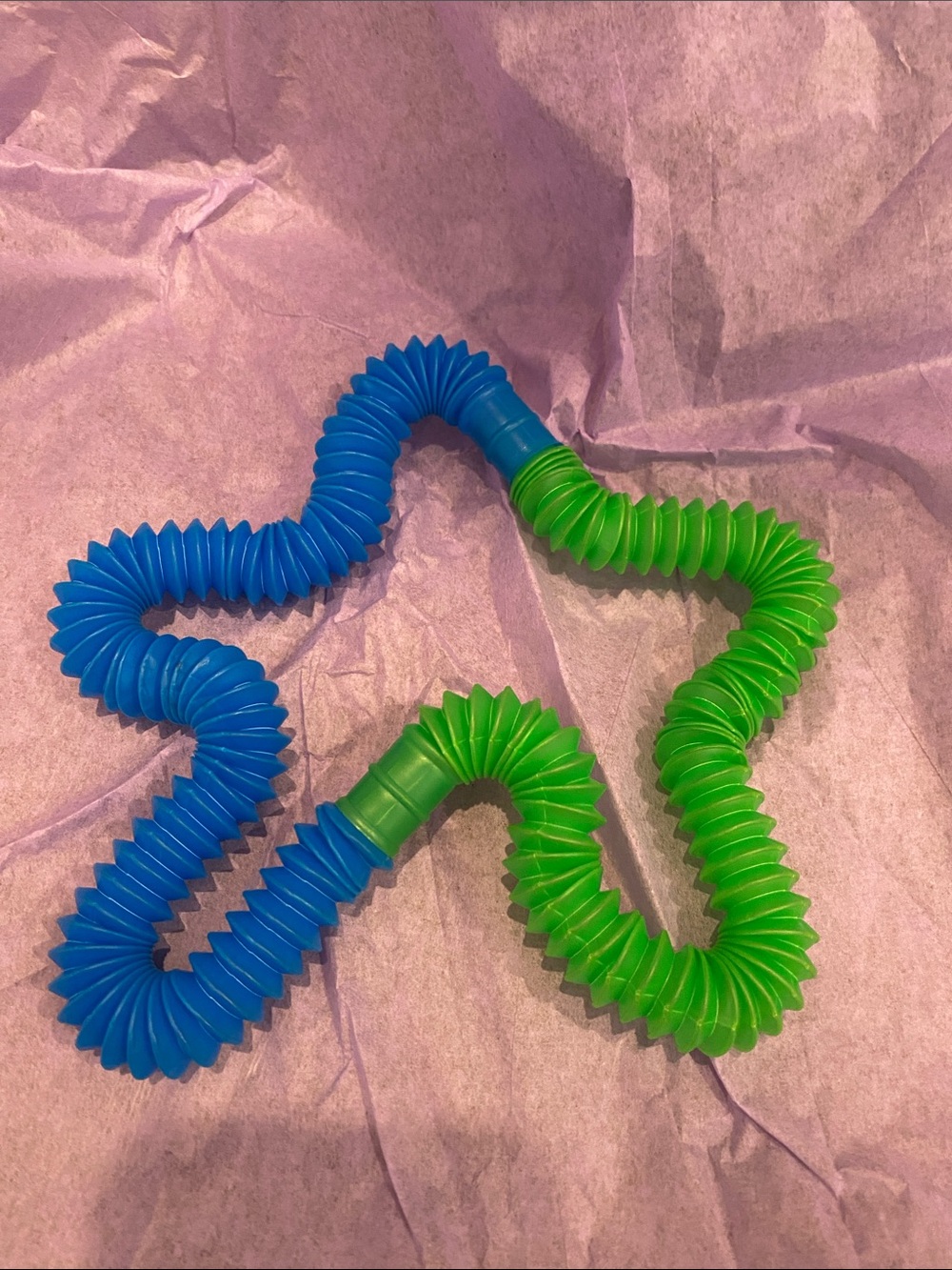 Blue and Green Flexible Sensory Fidget Toy